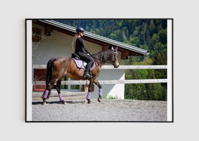 Une fresque des activités équines pour comprendre l’impact de l’équitation